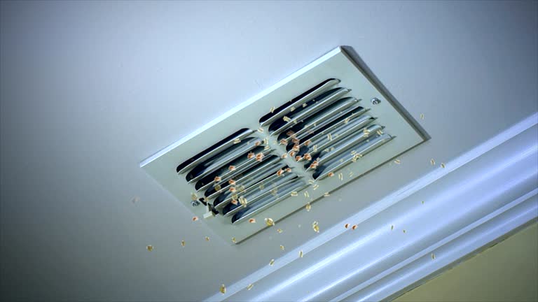 Ventilation Cleaning Services in Utica, MI