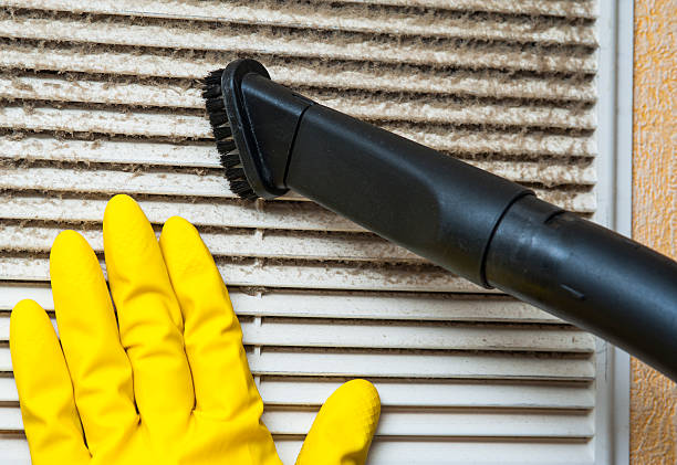 Best HVAC Duct Inspection Services  in Utica, MI